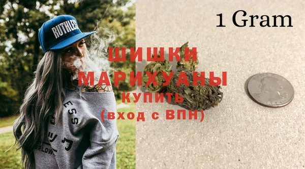 ПСИЛОЦИБИНОВЫЕ ГРИБЫ Заводоуковск
