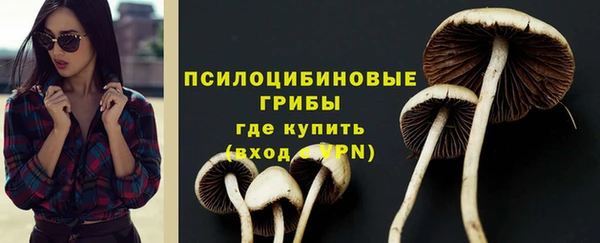 твердый Елабуга