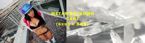 ГАЛЛЮЦИНОГЕННЫЕ ГРИБЫ Ельня