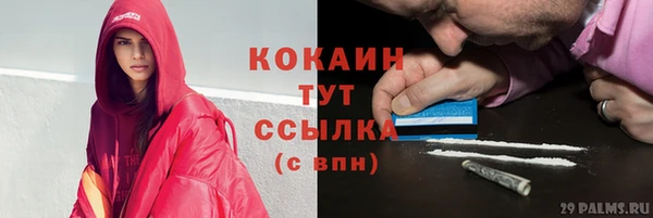ПСИЛОЦИБИНОВЫЕ ГРИБЫ Заводоуковск