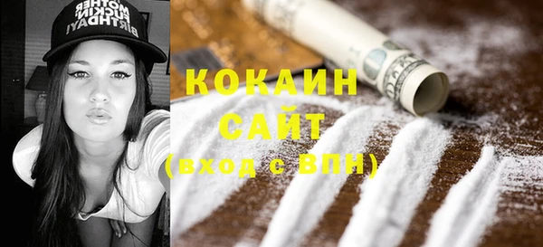 ГАЛЛЮЦИНОГЕННЫЕ ГРИБЫ Ельня