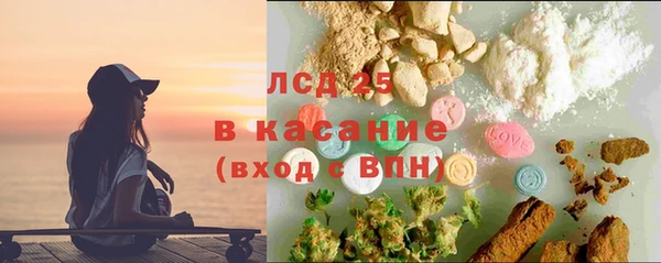 ПСИЛОЦИБИНОВЫЕ ГРИБЫ Заводоуковск