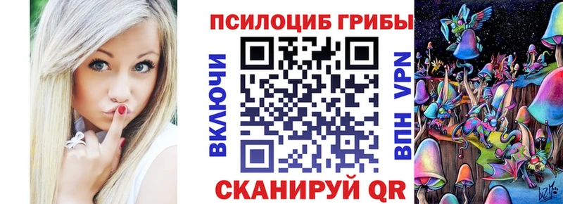сколько стоит  Можга  Псилоцибиновые грибы Cubensis 